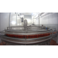 Pasteurizer à tunnel pour les bouteilles de pâte de tomate